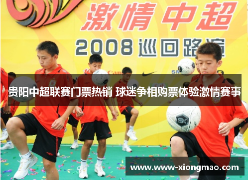 贵阳中超联赛门票热销 球迷争相购票体验激情赛事